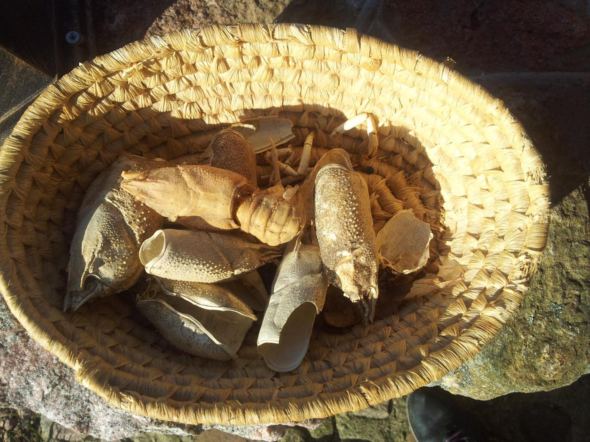 Hosteria Na Mazurach Dąbrówno Екстериор снимка